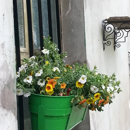 La casa di Zia Mimina-2